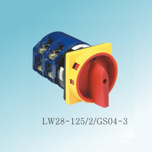 LW28GS SeriesChangeover Switch